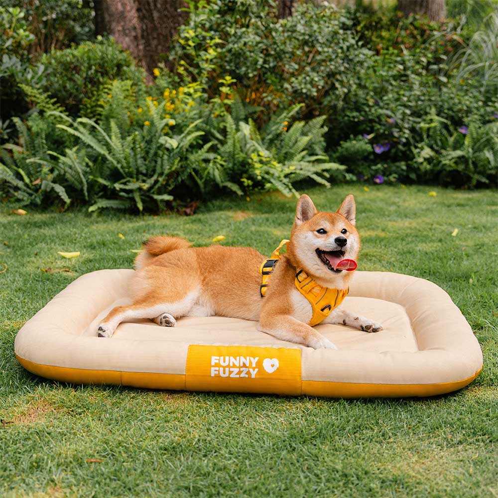 Bequemes Reisebett für Hunde, orthopädisch, wasserdicht & kratzfest. Robustes Outdoor-Design.