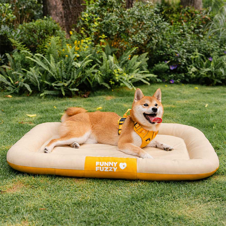 Bequemes Reisebett für Hunde, orthopädisch, wasserdicht & kratzfest. Robustes Outdoor-Design.