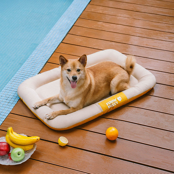 Orthopädische Outdoor-Hundematte, wasserdicht, kratzfest, mit Farbblock-Akzenten.