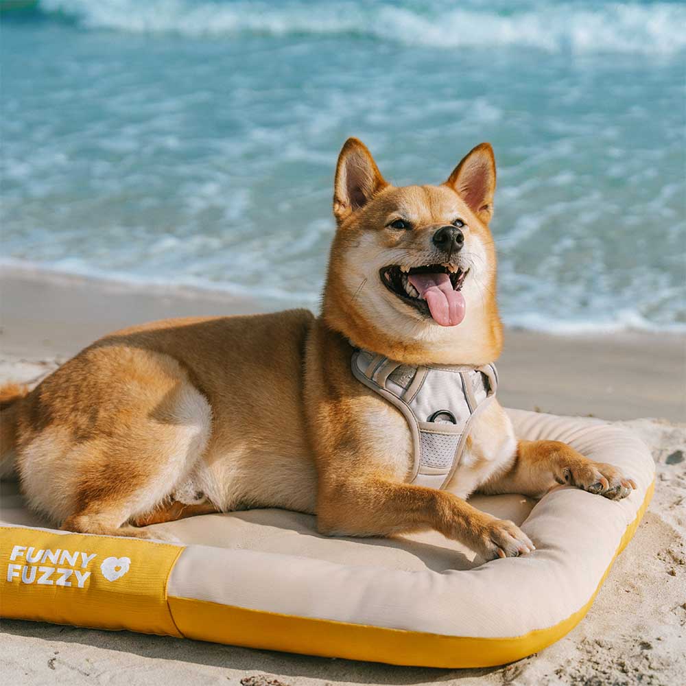 Strapazierfähige orthopädische Hundematte für Outdoor, wasserdicht & kratzfest. Gutes Hundezubehör.