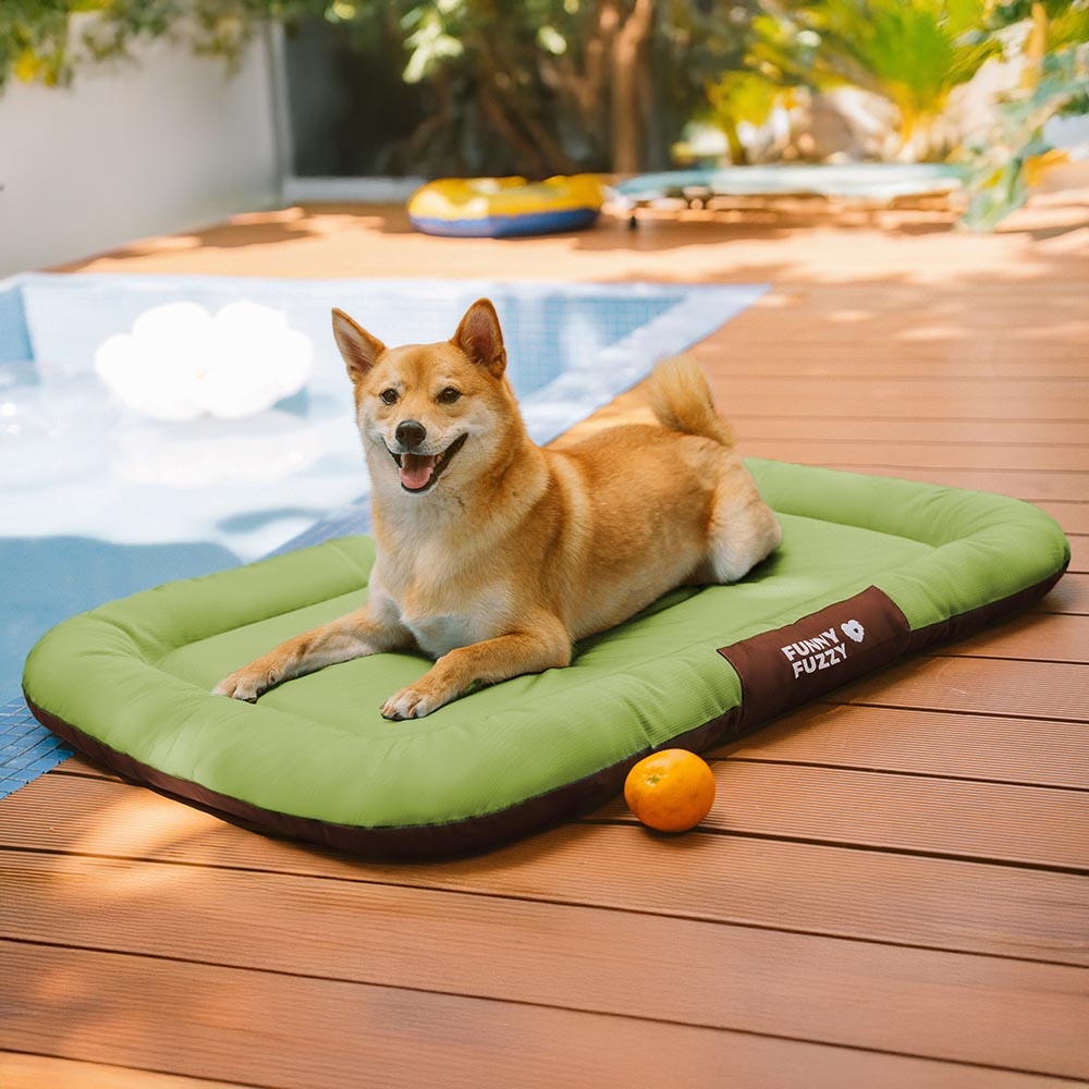 Orthopädische Hundematte für jedes Wetter, wasserdicht & kratzfest. Zuverlässiges Hundezubehör.