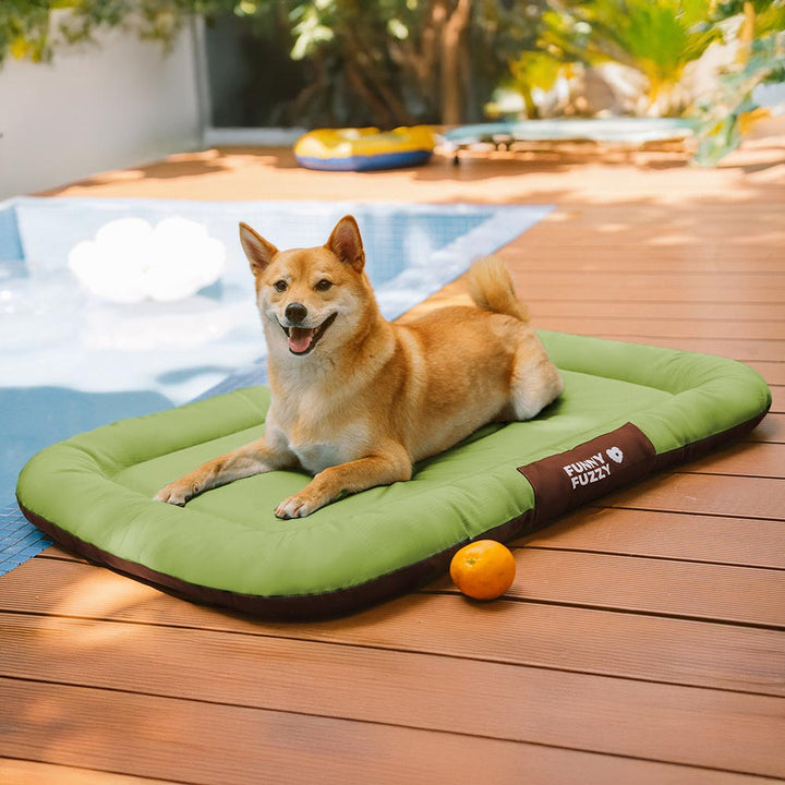 Orthopädische Hundematte für jedes Wetter, wasserdicht & kratzfest. Zuverlässiges Hundezubehör.