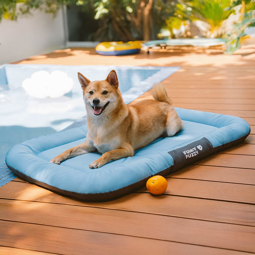 Kompakte orthopädische Hundematte, wasserdicht & kratzfest, ideal als transportables Reisebett.
