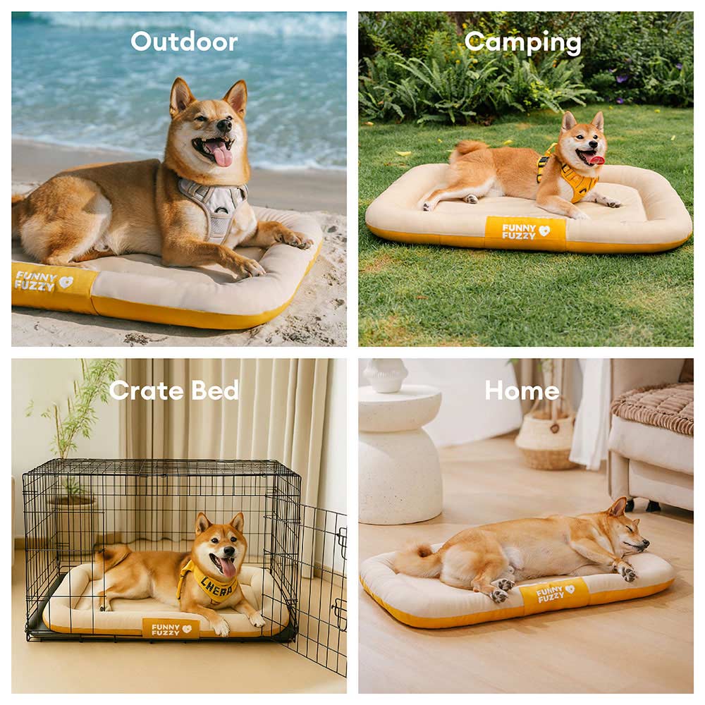 Orthopädische Hundematte für den Außenbereich, wasserdicht und kratzfest. Stilvolles Farbblock-Design.