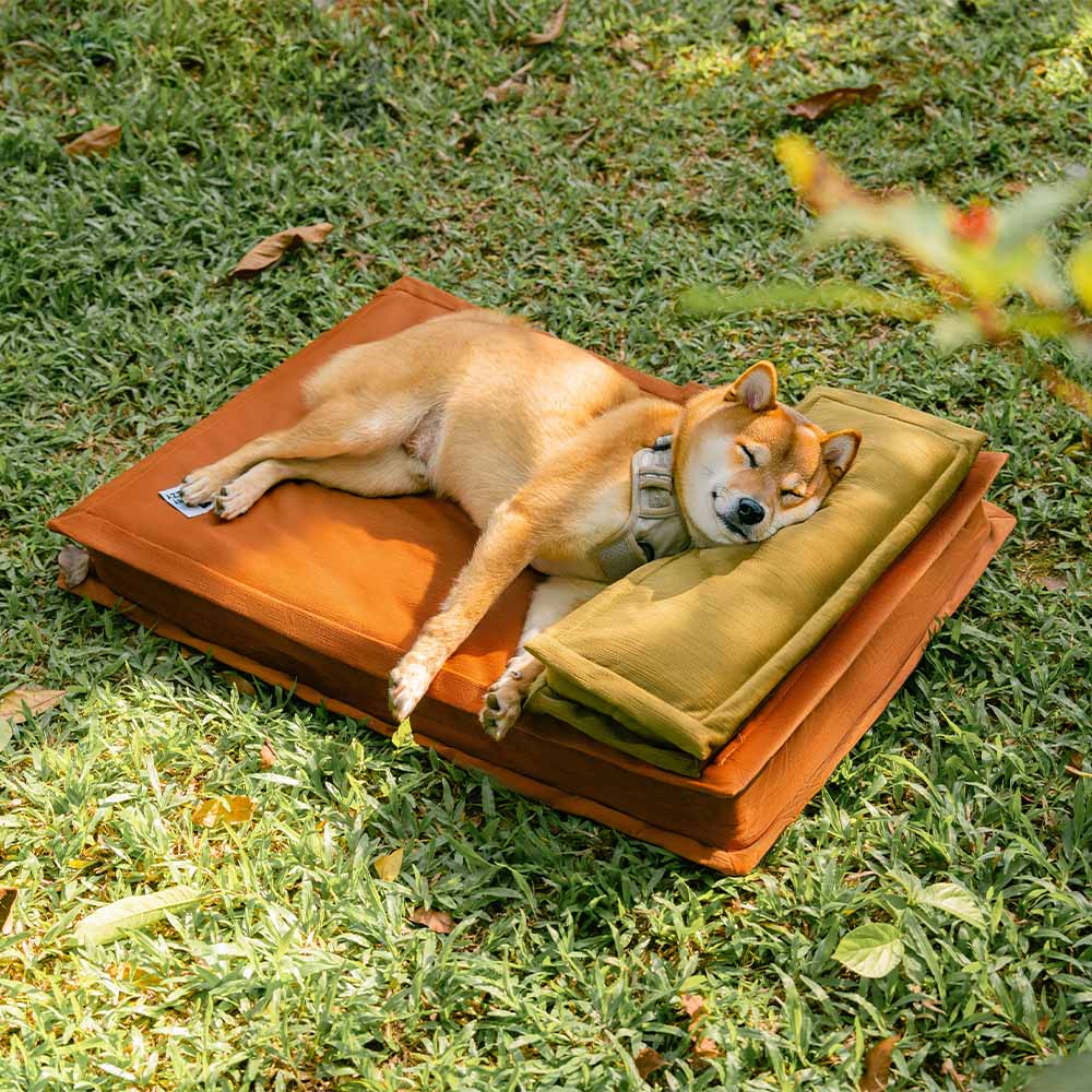 Orthopädisches Anti-Angst Hundebett für Tiefschlaf & Gelenkentlastung. Graues, weiches Plüschbett.