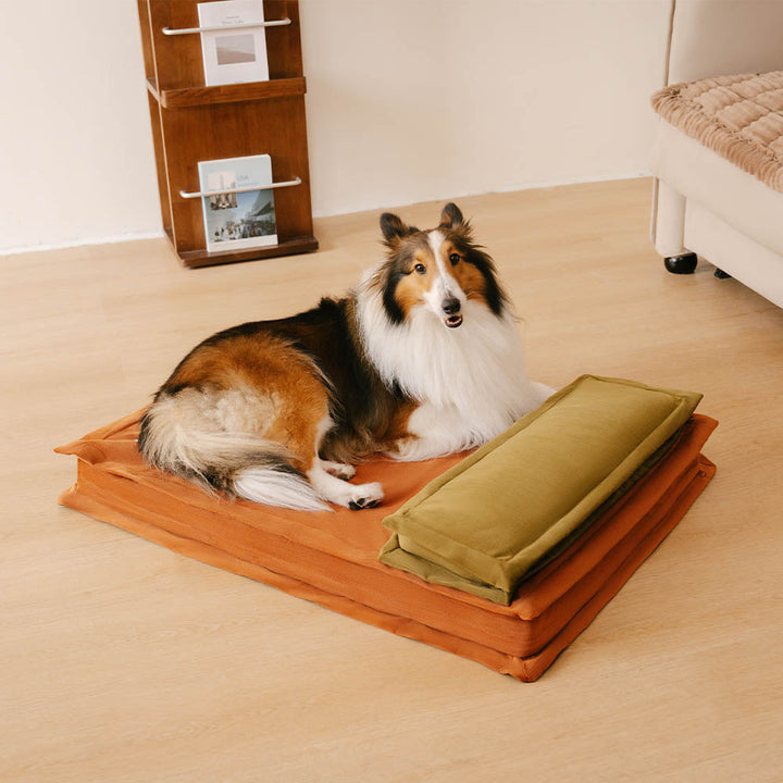 Elegantes graues Anti-Angst Hundebett, bietet Tiefschlaf und orthopädische Gelenkunterstützung.