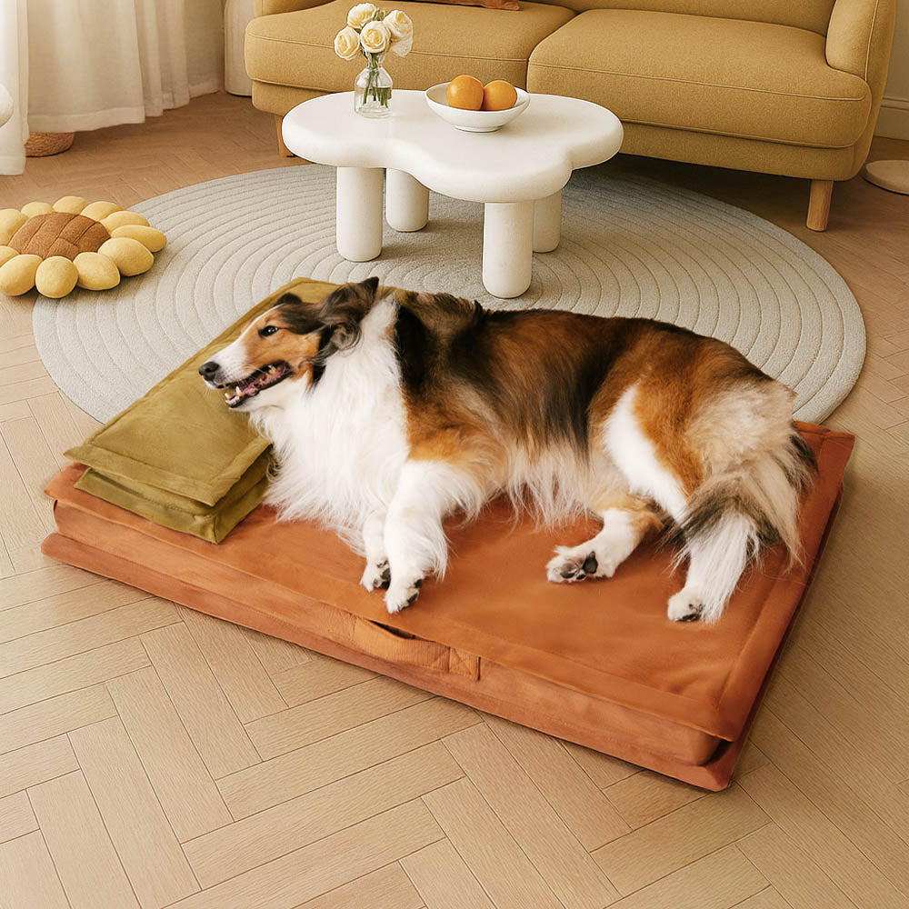 Hundebett im Wohnzimmer, bietet Tiefschlaf & Gelenkentlastung. Orthopädisch, Anti-Angst & komfortabel.