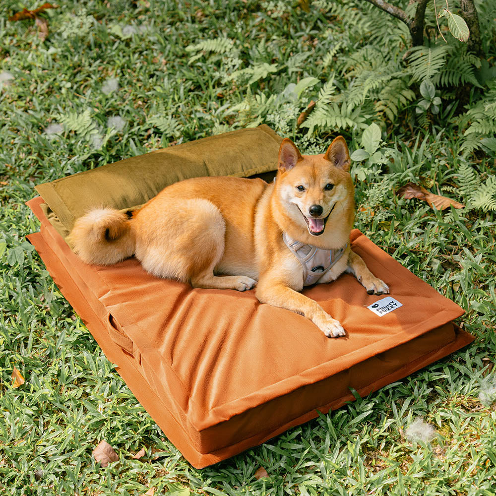 Ein glücklicher Hund gähnt nach erholsamem Tiefschlaf im orthopädischen Anti-Angst Hundebett.