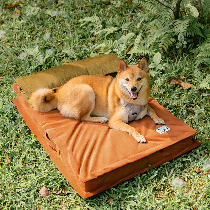Ein glücklicher Hund gähnt nach erholsamem Tiefschlaf im orthopädischen Anti-Angst Hundebett.