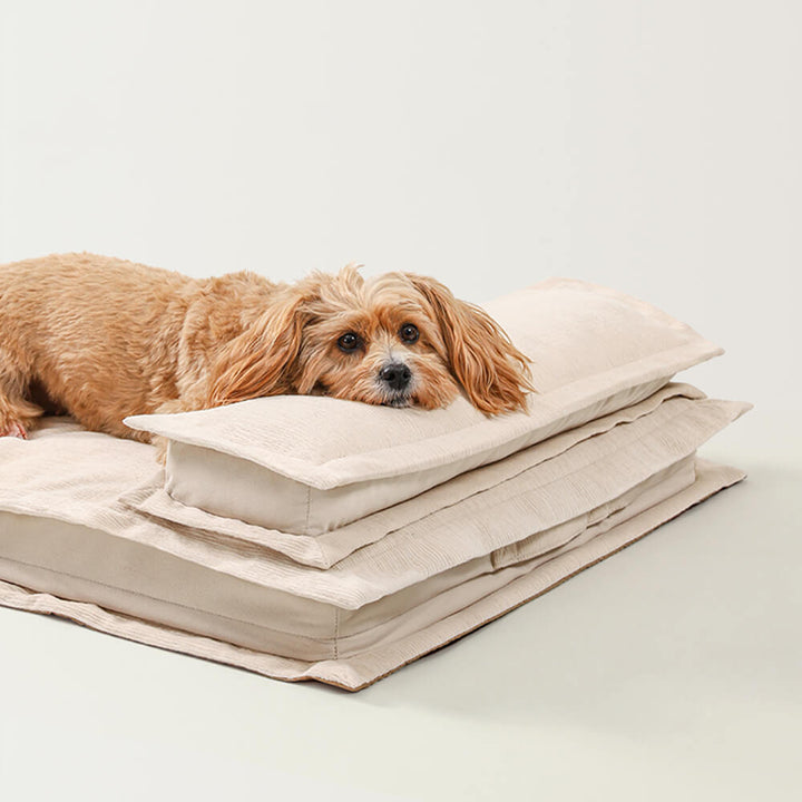 Das vielseitige Anti-Angst Hundebett, perfekt für alle Rassen. Tiefschlaf & Gelenkentlastung garantiert.