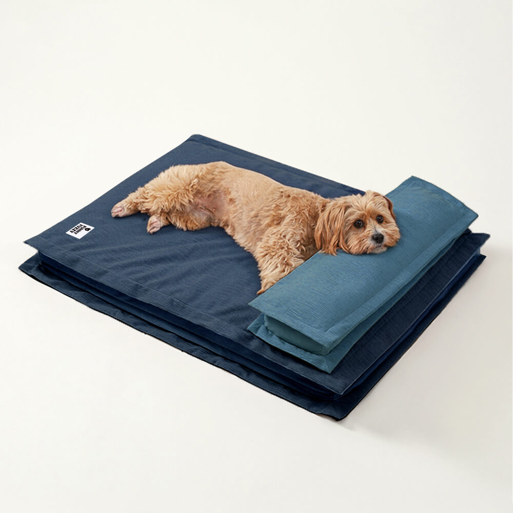 Ein Hund träumt süß im orthopädischen Anti-Angst Hundebett. Fördert Tiefschlaf & Gelenkgesundheit.