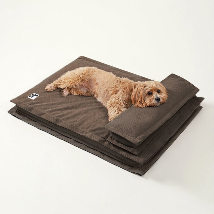 Dein Hund verdient das Beste: Orthopädisches Anti-Angst Hundebett für Tiefschlaf & Gelenkentlastung.