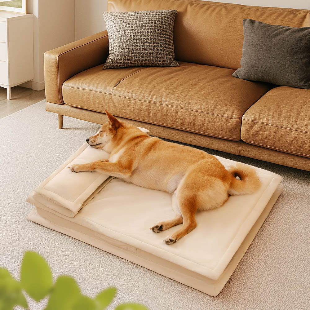 Seitenansicht des erhöhten Rands vom Anti-Angst Hundebett, stützt Kopf & Nacken für Tiefschlaf.