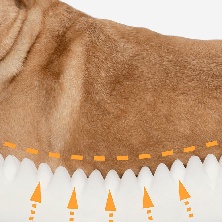 Dieses orthopädische Donut Hundebett ist flauschig, warm und leicht zu reinigen.