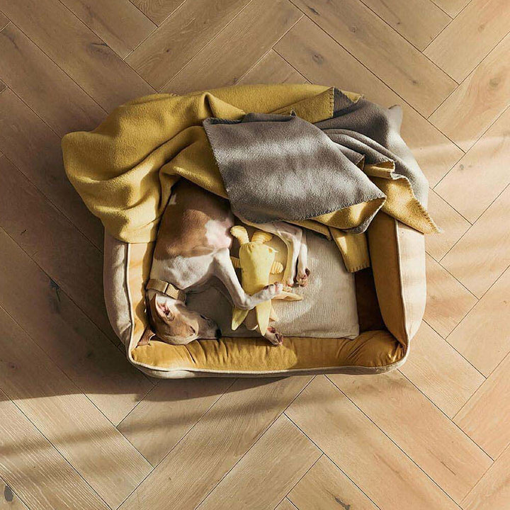 Premium-Eckhundebett, orthopädisch und waschbar für gesunden Schlaf, weicher Komfort für Hunde.