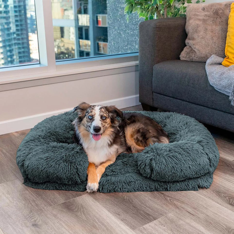 Orthopädisches Hundebett aus Memory Foam für Gelenkschutz und Komfort. Ideal für entspannte Vierbeiner.