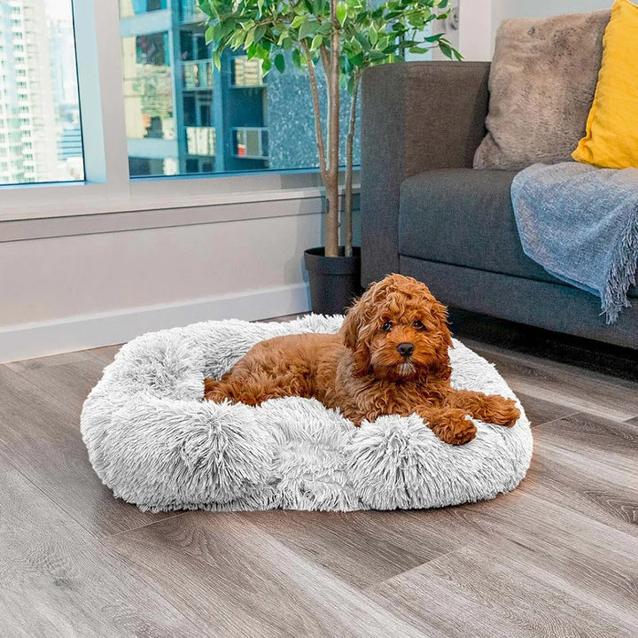 Waschbares Hundebett mit Memory Foam & Antirutsch-Boden. Hygienischer Schlafplatz für Komfort & Sicherheit Ihres Hundes.
