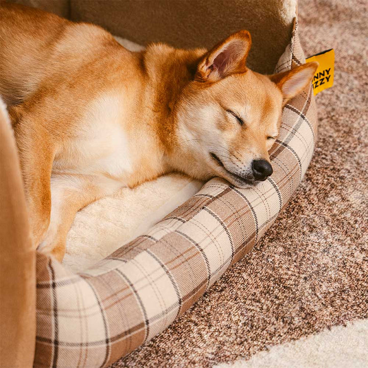 Detailaufnahme: Hochwertiges, orthopädisches Hundebett, weich und gelenkschonend.