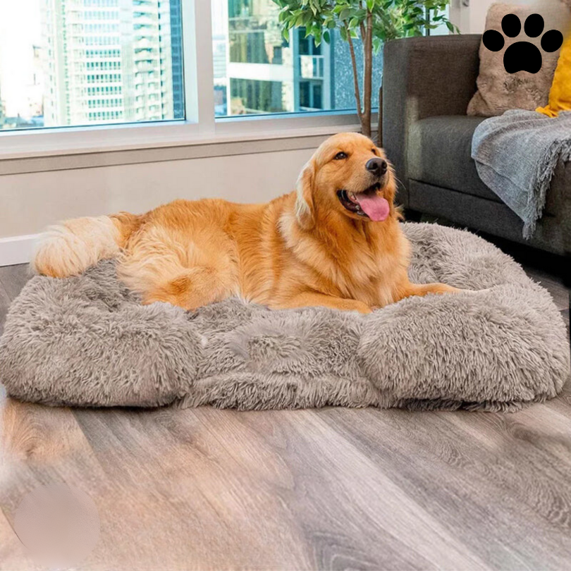 Weiches, beruhigendes Memory Foam Hundebett "Charlie", orthopädisch & antistress für entspannte Hunde.