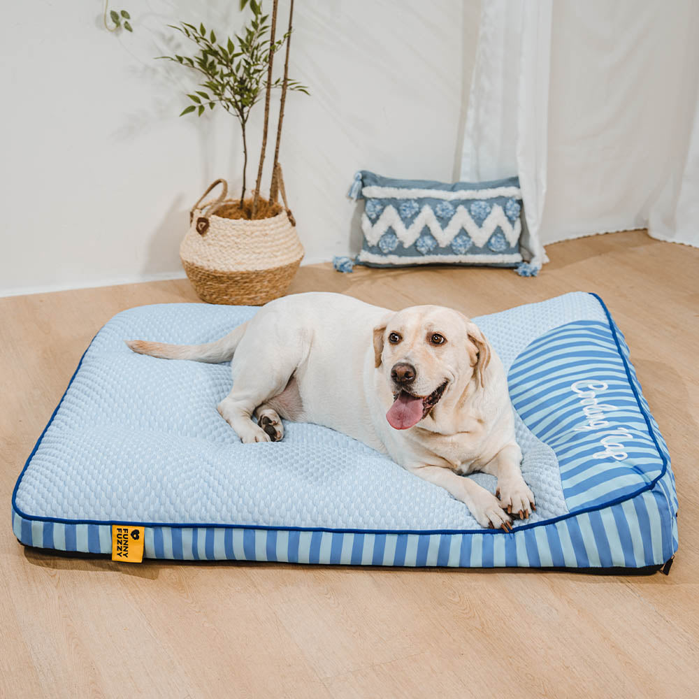 Großes, orthopädisches Hundebett, kühlende Oberfläche, waschbar, perfekt für ältere Hunde.