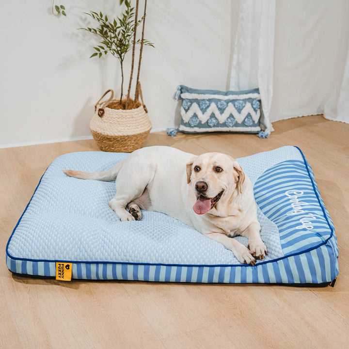 Großes, orthopädisches Hundebett, kühlende Oberfläche, waschbar, perfekt für ältere Hunde.