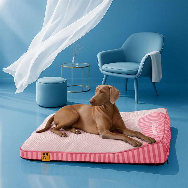 Kühlendes orthopädisches Hundebett, waschbar, ideal für große Hunde bei warmem Wetter.