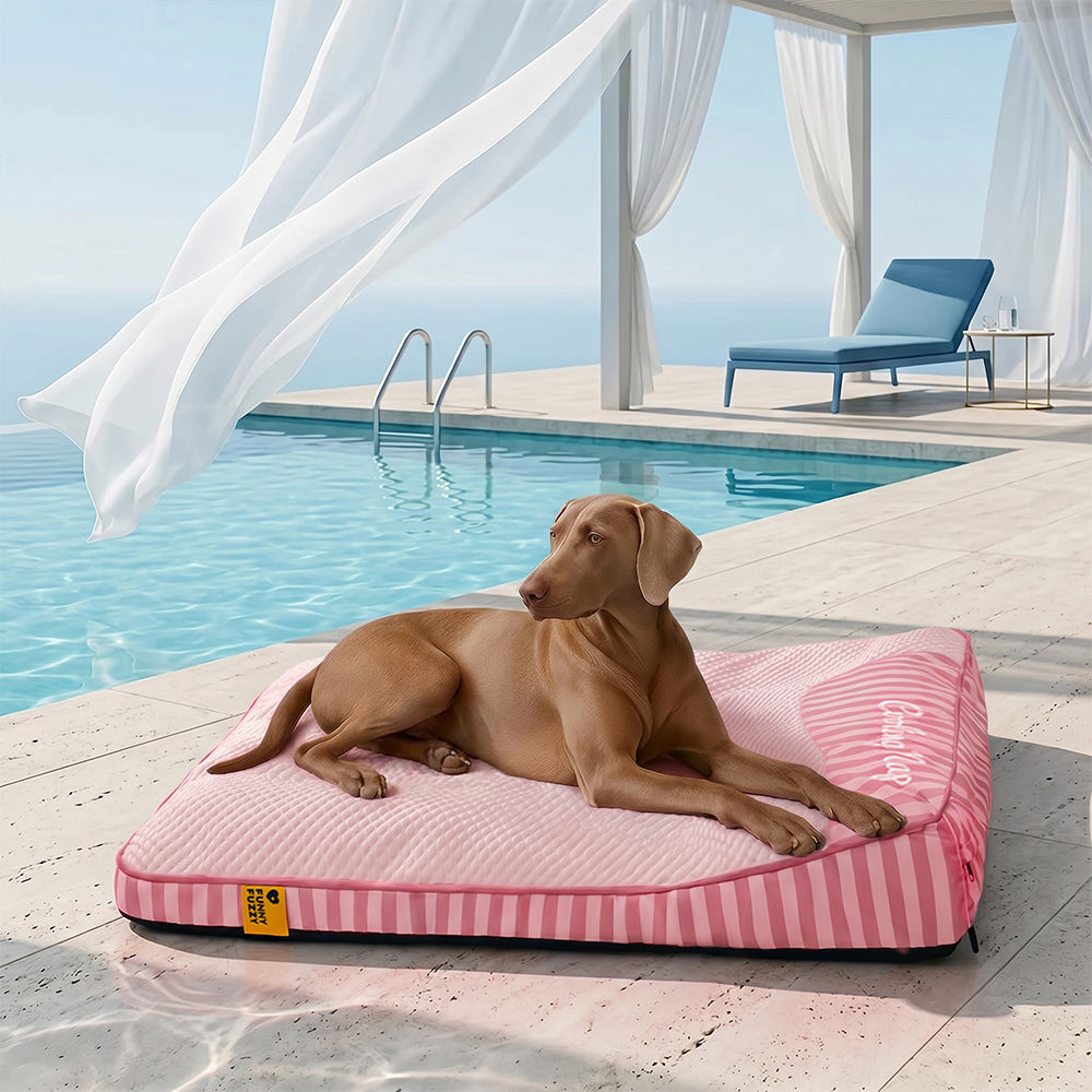 Waschbares orthopädisches Hundebett für große Hunde, kühlend, mit atmungsaktiver Eisseide.