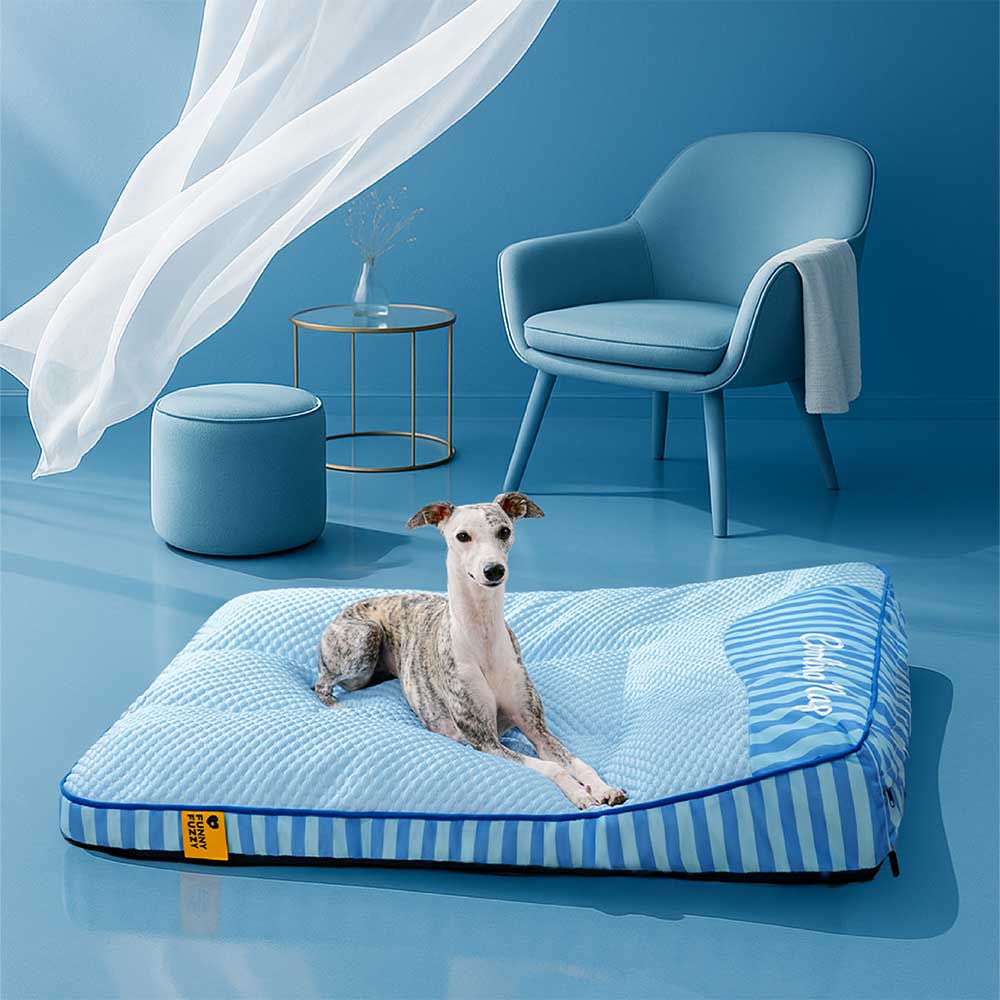 Premium-Hundebett, kühlend, orthopädisch, waschbar, ideal für große Hunde & Gelenke.