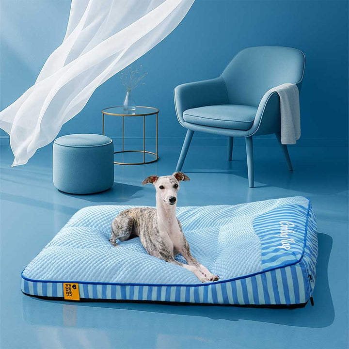 Premium-Hundebett, kühlend, orthopädisch, waschbar, ideal für große Hunde & Gelenke.