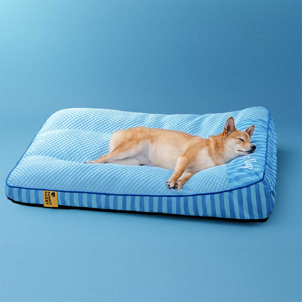 Hundebett groß, orthopädisch, kühlend dank Eisseide, maschinenwaschbar, für gesunden Schlaf.