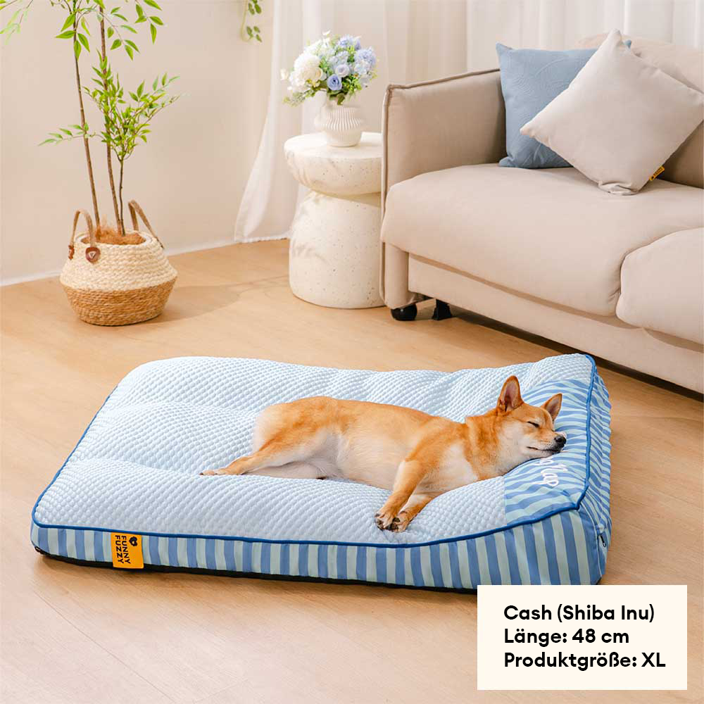 Kühler Schlafplatz für große Hunde: orthopädisches Bett mit waschbarem Bezug & Eisseide.