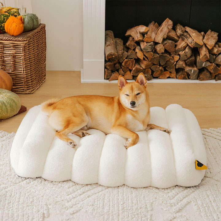 Orthopädisches Hundebett für große Hunde, waschbar, Memoryschaum, Teddyfleece. Gelenkschonend & gemütlich.