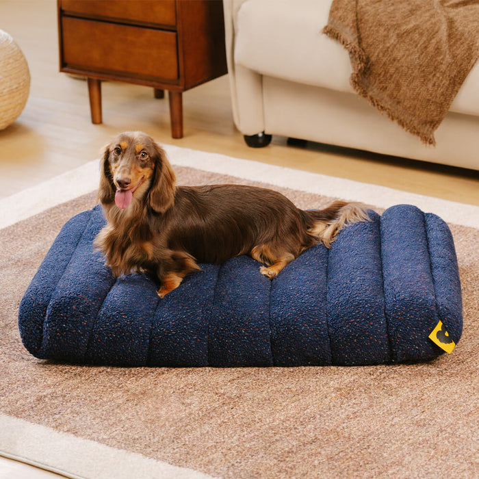 Gelenkschonendes Hundebett für große Hunde, orthopädisch, Memoryschaum & waschbar. Pflegeleichtes Haustierbett.