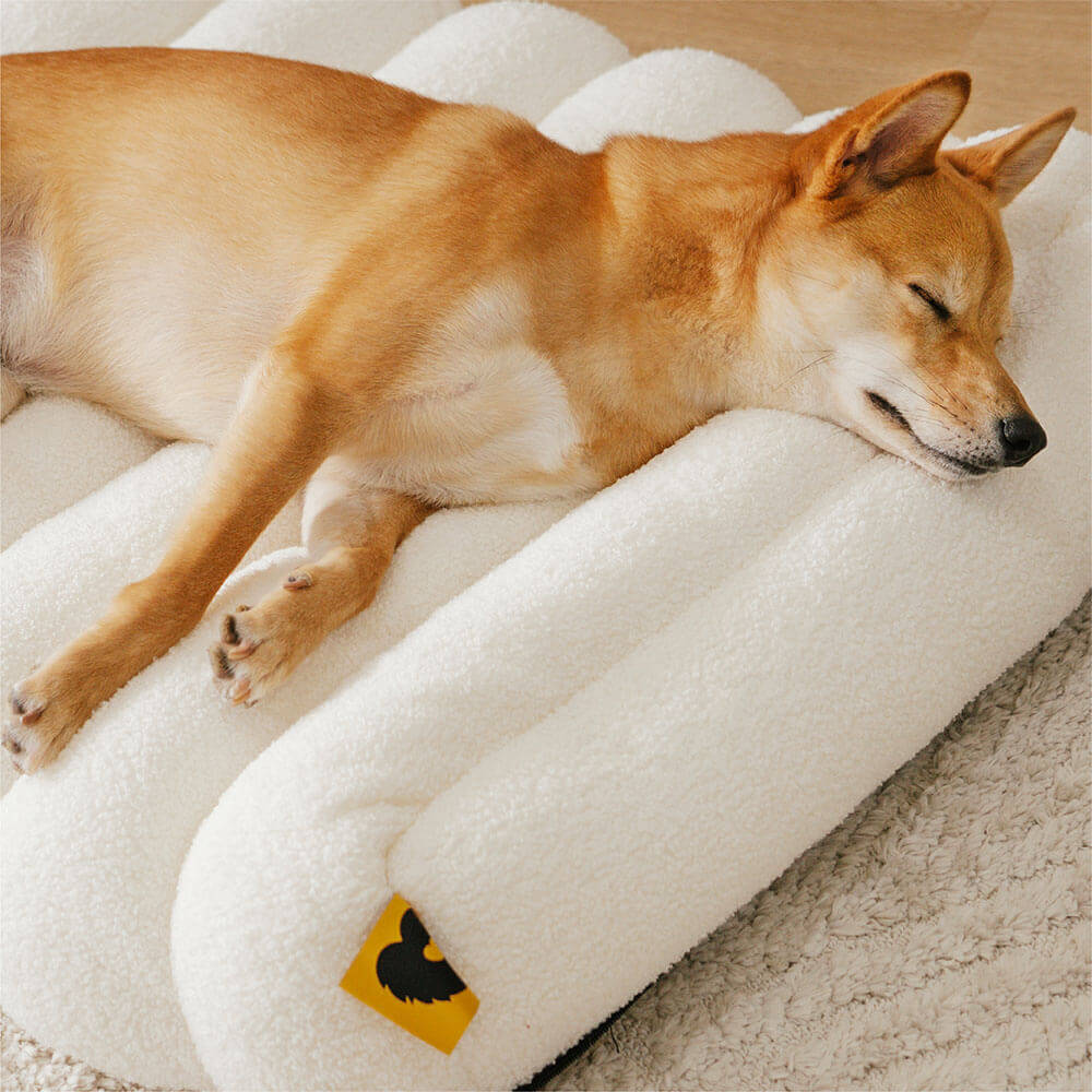 Hundeliege XXL orthopädisch, waschbar. Memoryschaum & Teddyfleece bieten Komfort für große Hunde.