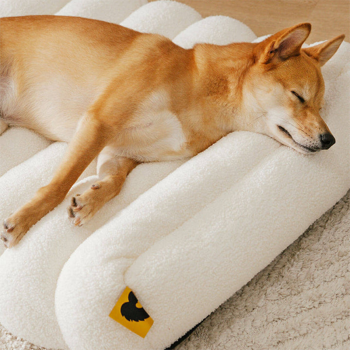 Hundeliege XXL orthopädisch, waschbar. Memoryschaum & Teddyfleece bieten Komfort für große Hunde.