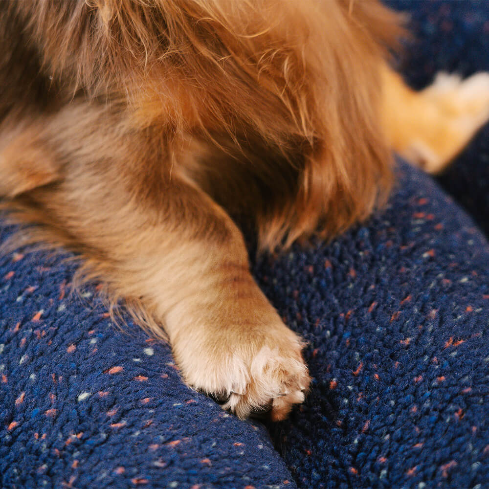 Gemütliches orthopädisches Hundebett für große Hunde. Waschbar, Memoryschaum, flach & gelenkschonend.