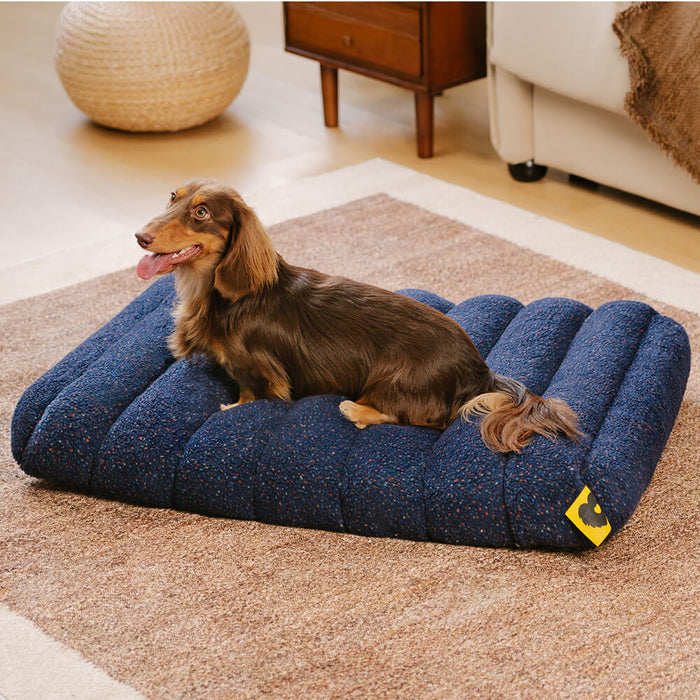 Pflegeleichtes orthopädisches Hundebett für mittelgroße & große Hunde. Waschbar, Memoryschaum, Teddyfleece.