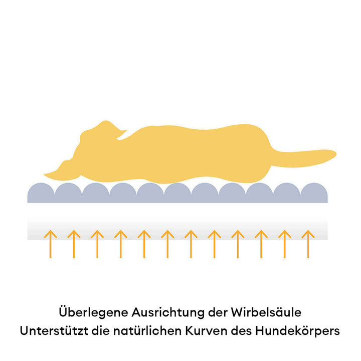 Orthopädisches Haustierbett XL, Memoryschaum, waschbar. Bietet großen Hunden Komfort & Gelenkschutz.