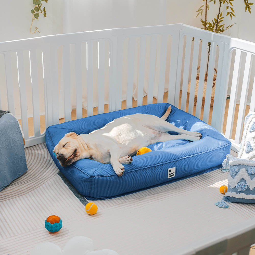 Geräumiges orthopädisches Hundebett für großen Hund, wasserabweisend mit hohem Liegekomfort.
