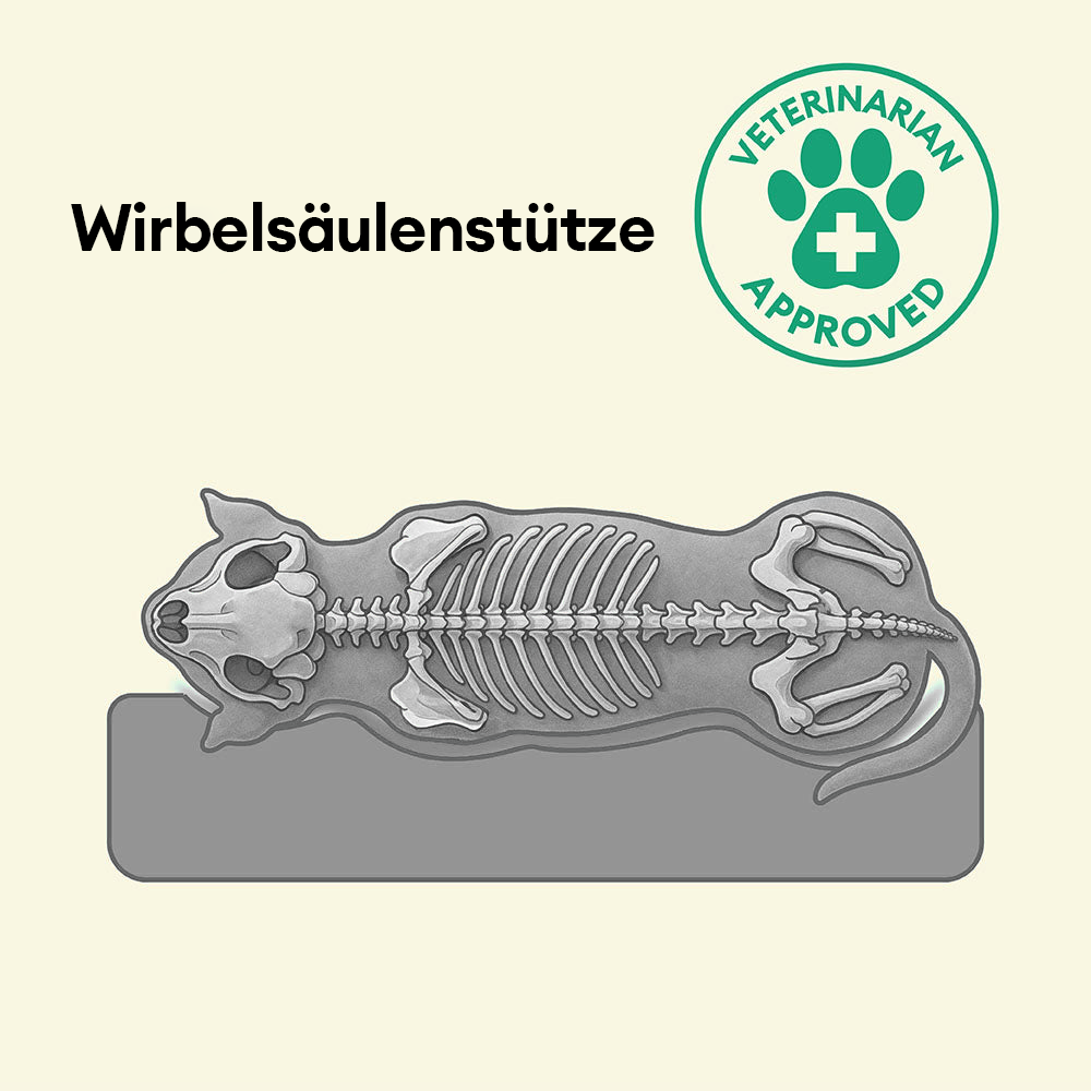 Waschbares orthopädisches Hundebett für große Hunde, hygienisch, kratzfest und leicht zu reinigen.