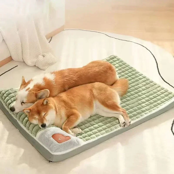 Orthopädisches Hundebett für Hunde & Katzen aus Memory Foam. Gelenkschonend, waschbar für ultimativen Komfort.