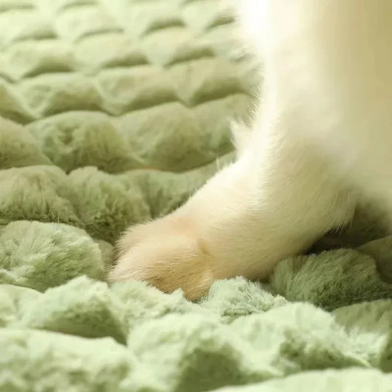 Waschbares orthopädisches Hundebett für Hunde & Katzen. Hygienischer Tierbedarf, Bezug leicht zu reinigen.