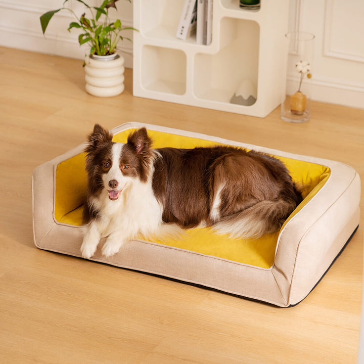 Hund schläft entspannt auf dem orthopädischen Hundebett mit Gelenkunterstützung.
