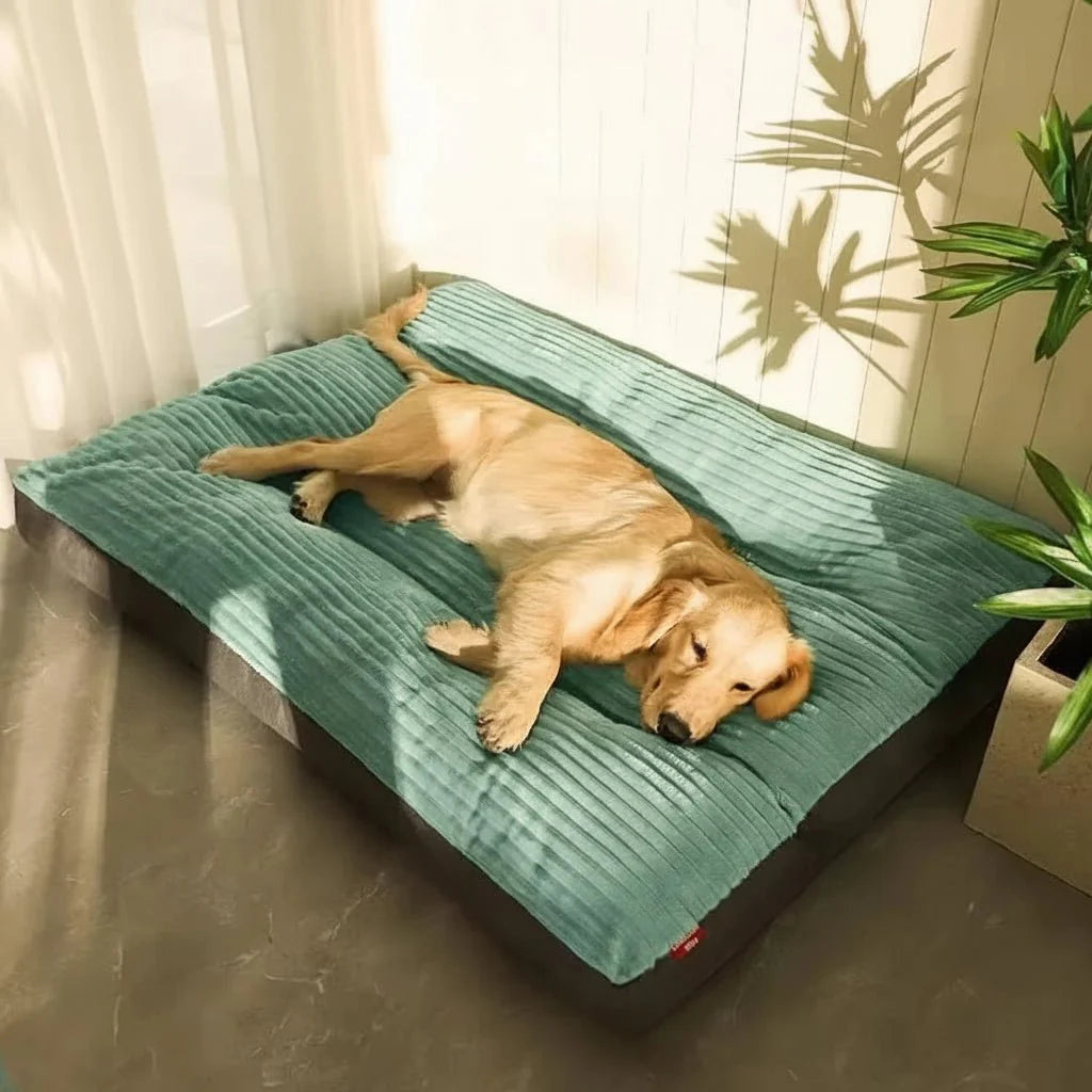 Orthopädisches Hundebett für Tiefschlaf, weich und formstabil, bietet Komfort und Gelenkentlastung für Ihr Haustier.