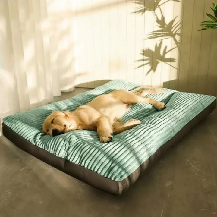 Formstabiles orthopädisches Tierbett für Hunde. Bietet Gelenkentlastung und fördert erholsamen Tiefschlaf für alte Hunde.
