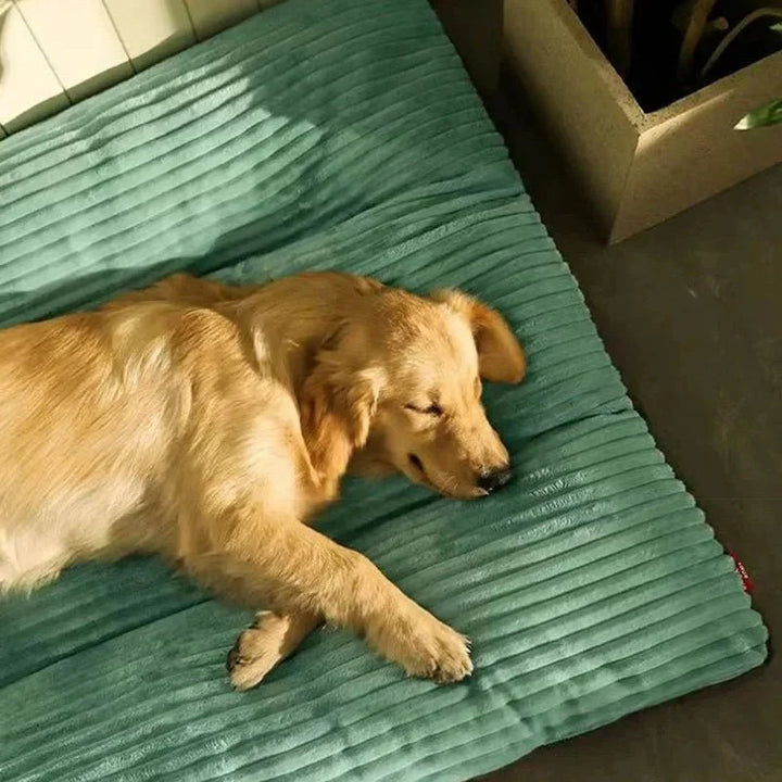 Komfortables orthopädisches Hundebett in modernem Design, weich und formstabil, ideal für Gelenkentlastung & Tiefschlaf.