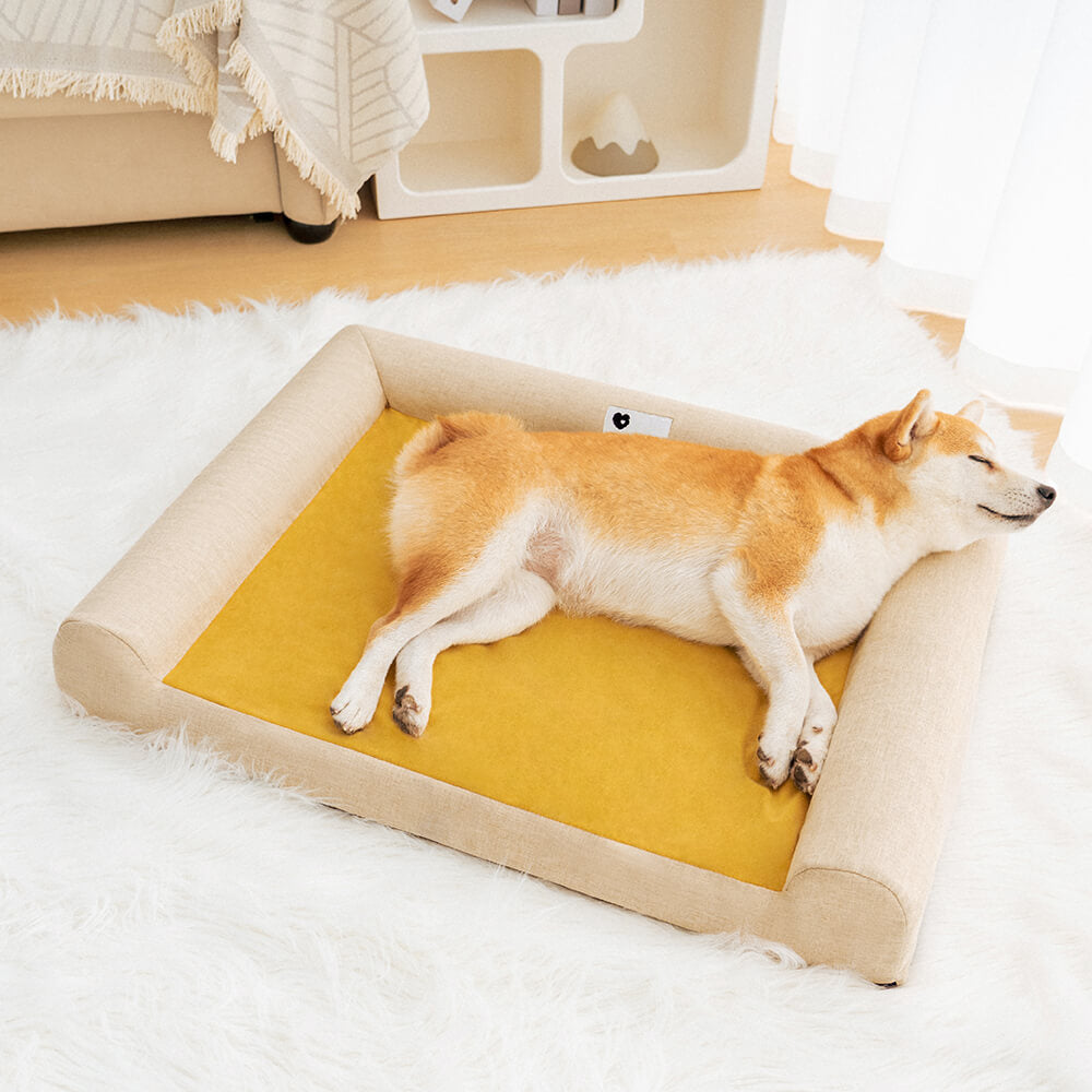 Orthopädisches Hundebett für umfassende Unterstützung & Komfort. Gelenkschonender Schlafplatz, ideal für Haustiere.