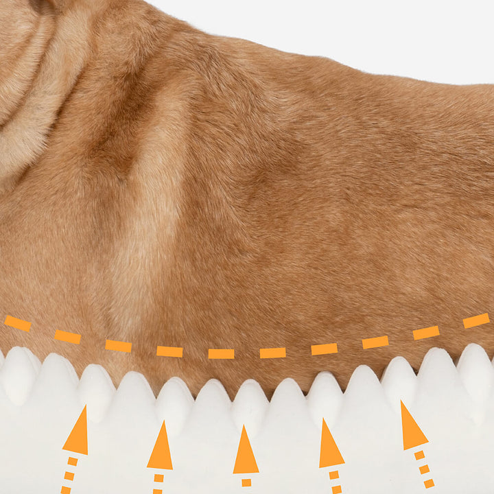 Graues orthopädisches Hundebett. Perfekter Ruheplatz mit umfassender Unterstützung für Gelenke & Rücken.