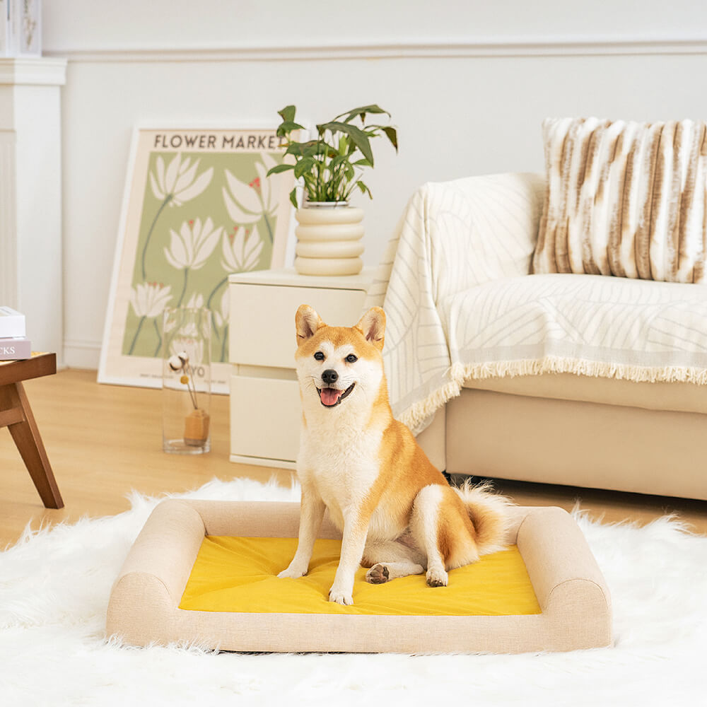 Hochwertiges orthopädisches Hundebett "Grüner See". Idealer, waschbarer Schlafplatz für Gelenkschonung & Komfort.