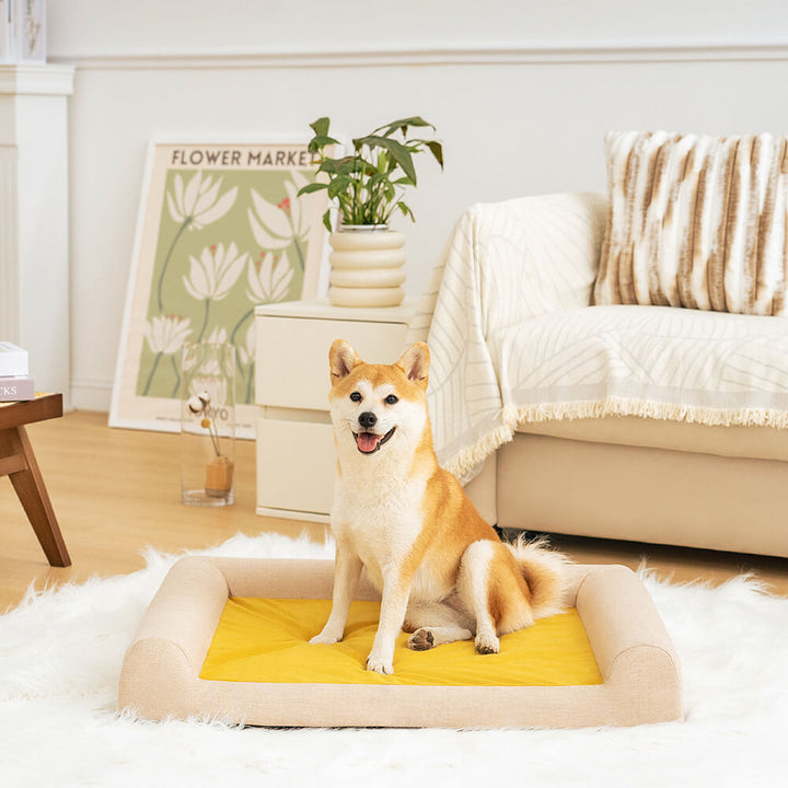 Hochwertiges orthopädisches Hundebett "Grüner See". Idealer, waschbarer Schlafplatz für Gelenkschonung & Komfort.